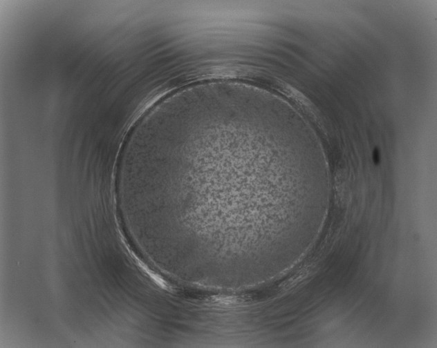 X0000062790794200512290221