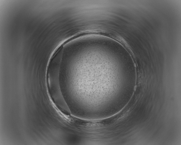 X0000062790795200512290221