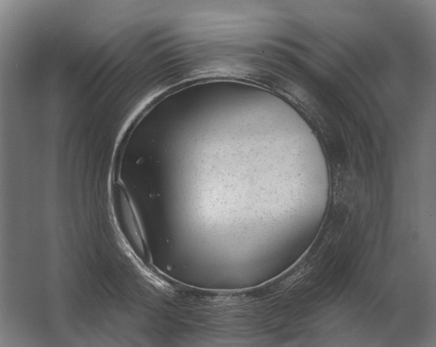 X0000062790796200512290221