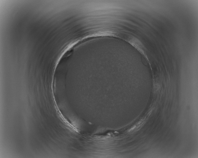 X0000062790797200512290221