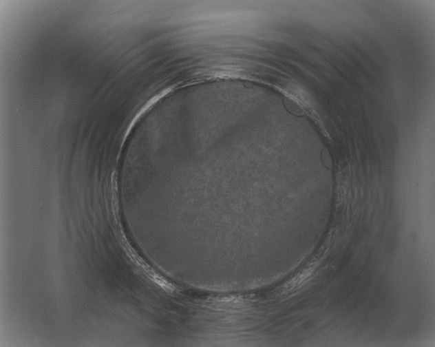 X0000062790798200512290221