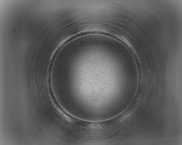 X0000062790799200512290221