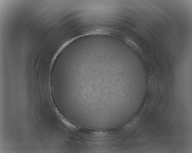 X0000062790800200512290221