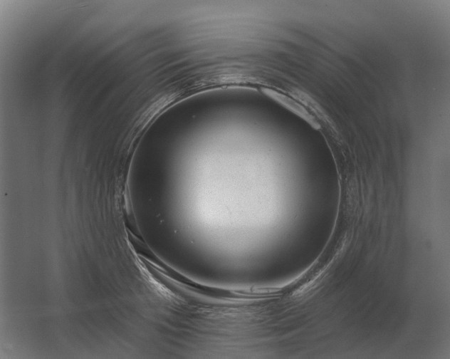 X0000062790801200512290221