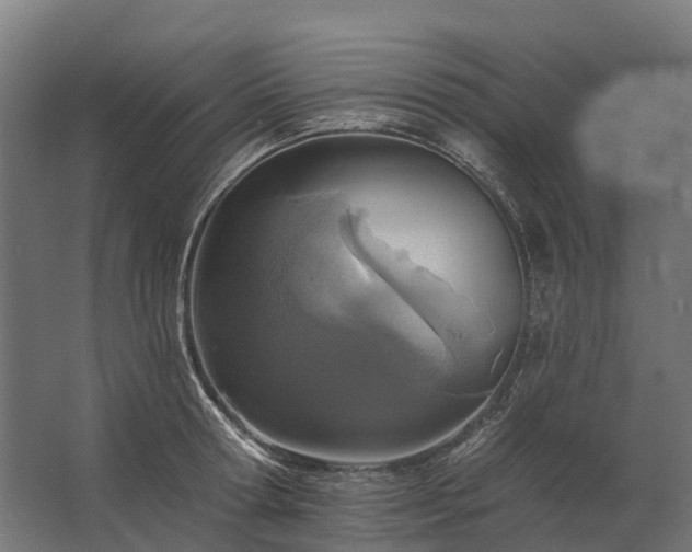 X0000062790802200512290221