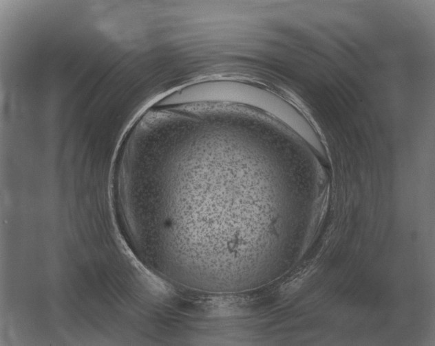 X0000062790803200512290221