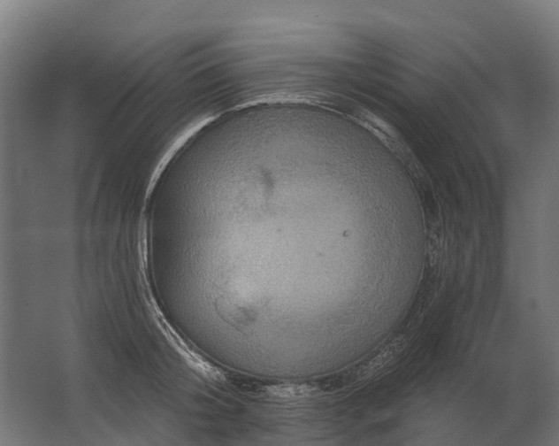 X0000062790804200512290221