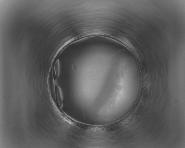 X0000062790806200512290221