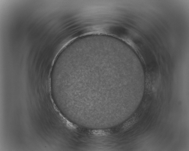 X0000062790807200512290221