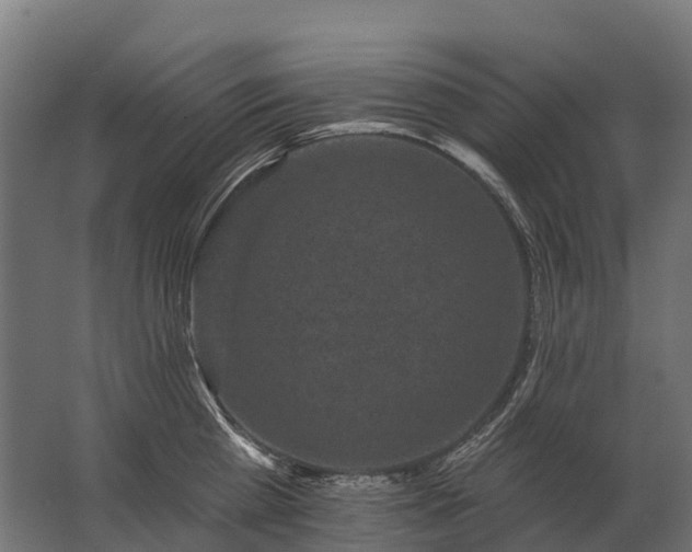 X0000062790809200512290221