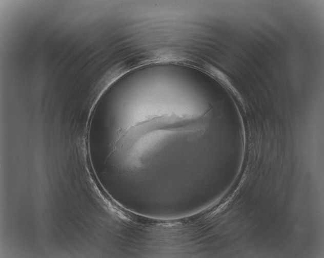 X0000062790810200512290221