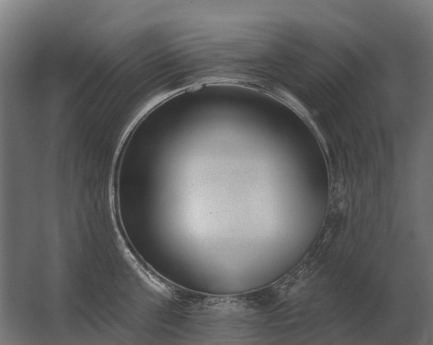 X0000062790811200512290221