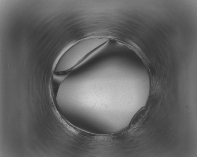 X0000062790812200512290221