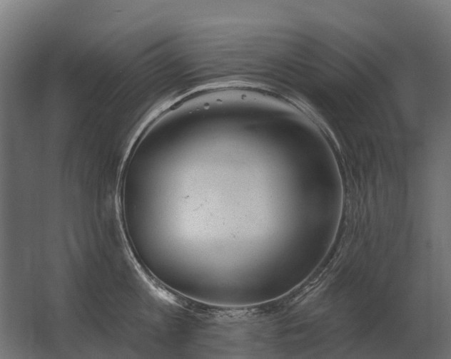 X0000062790813200512290221