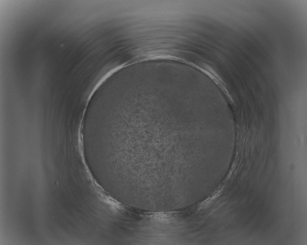 X0000062790814200512290221