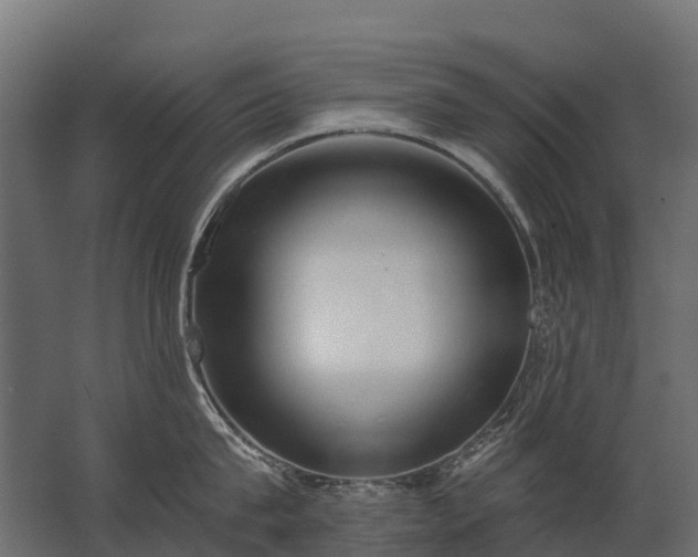 X0000062790815200512290221