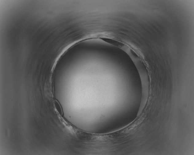 X0000062790816200512290221