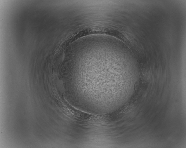 X0000062790817200512290220