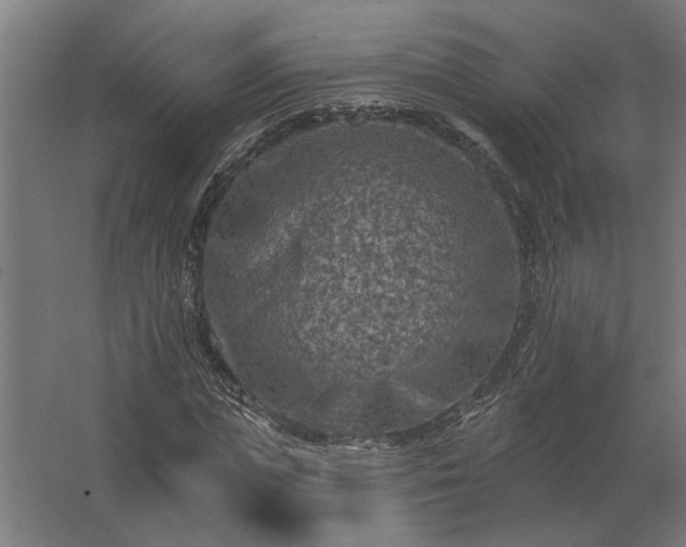 X0000062790823200512290220