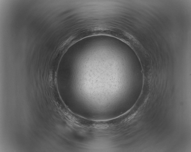 X0000062790825200512290220