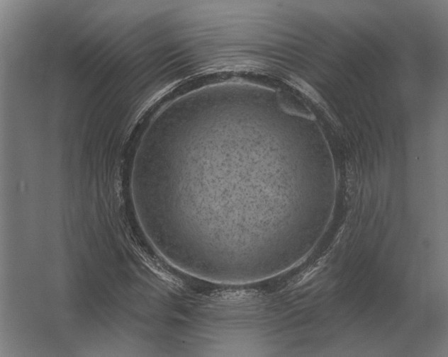 X0000062790826200512290220