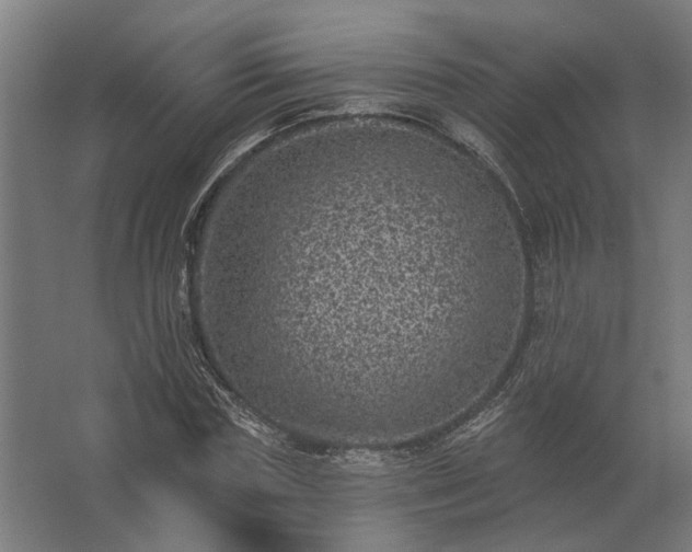 X0000062790827200512290220