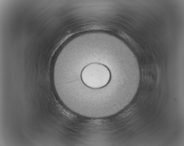 X0000062790828200512290220