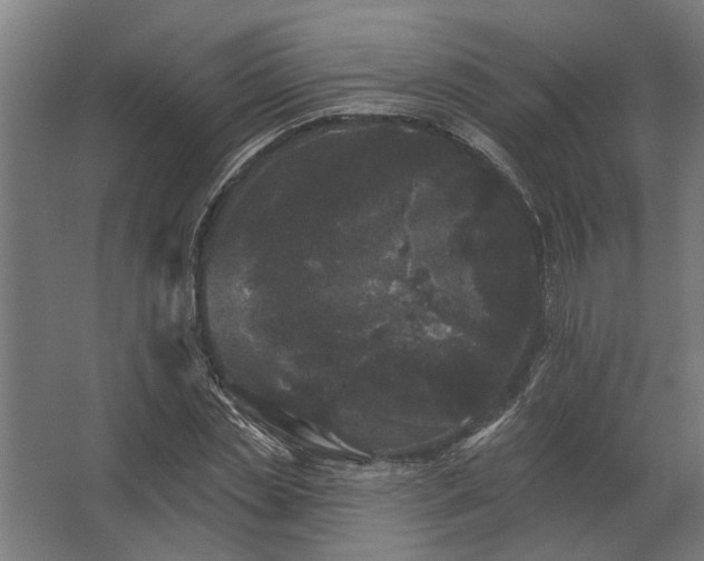 X0000062790829200512290220