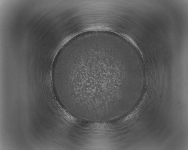 X0000062790831200512290220