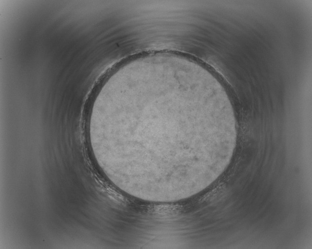 X0000062790832200512290220