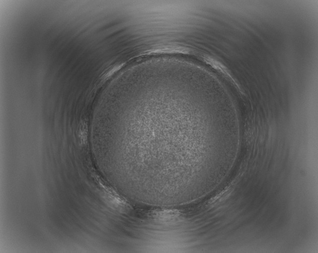 X0000062790833200512290220