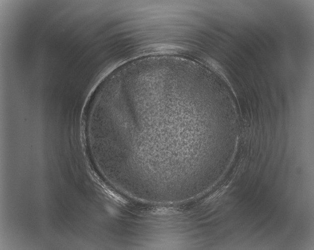 X0000062790835200512290220