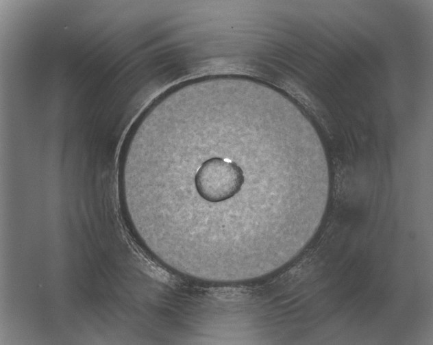 X0000062790836200512290220