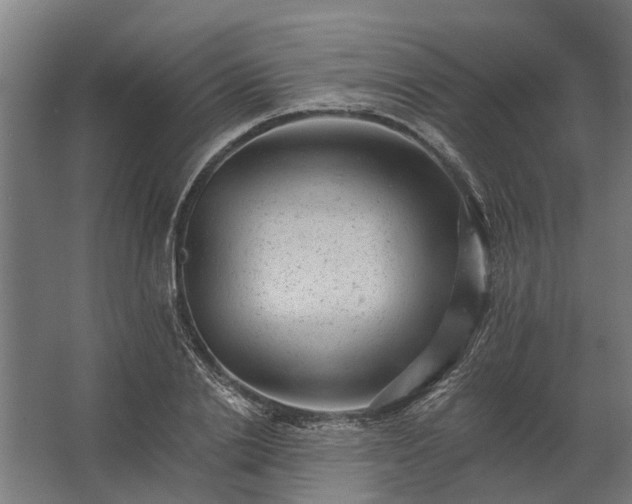 X0000062790838200512290220