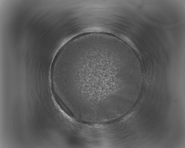 X0000062790839200512290220