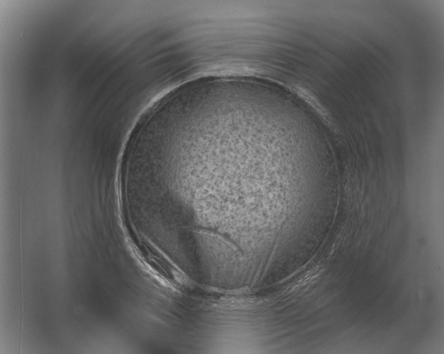 X0000062790840200512290220