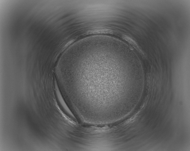 X0000062790841200512290220