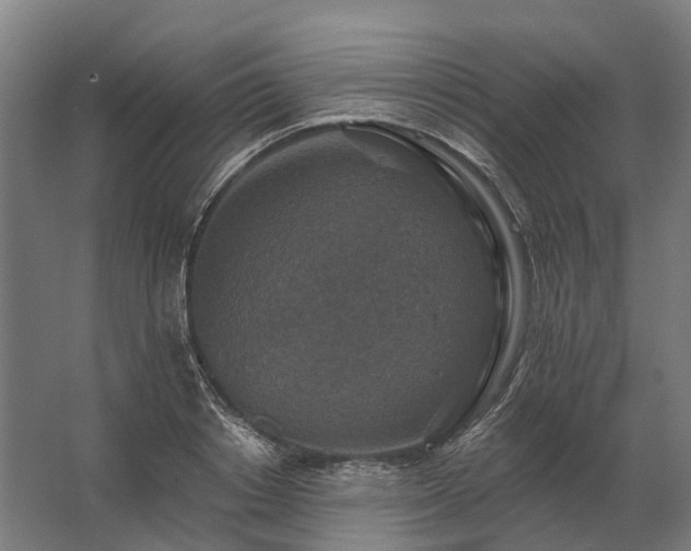 X0000062790842200512290220