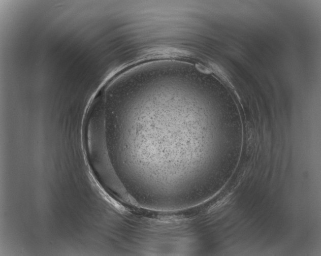 X0000062790843200512290220