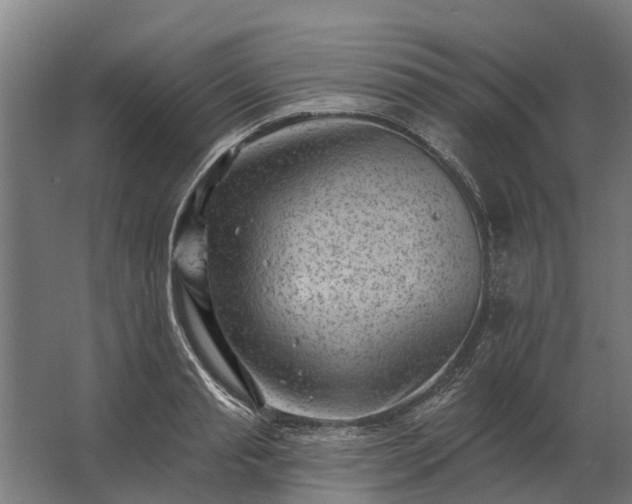 X0000062790845200512290220