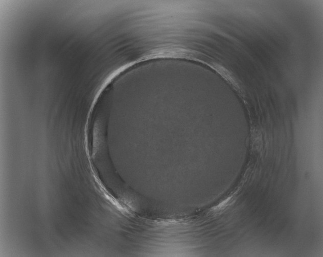 X0000062790846200512290220