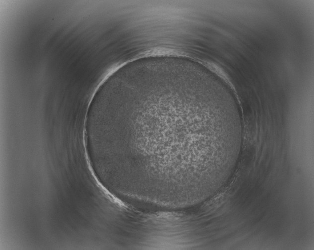 X0000062790847200512290220