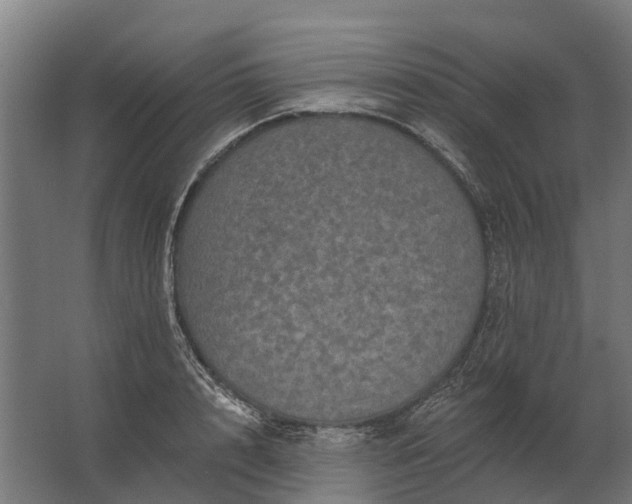 X0000062790848200512290221