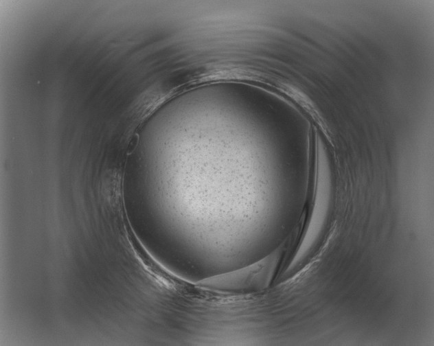 X0000062790849200512290221