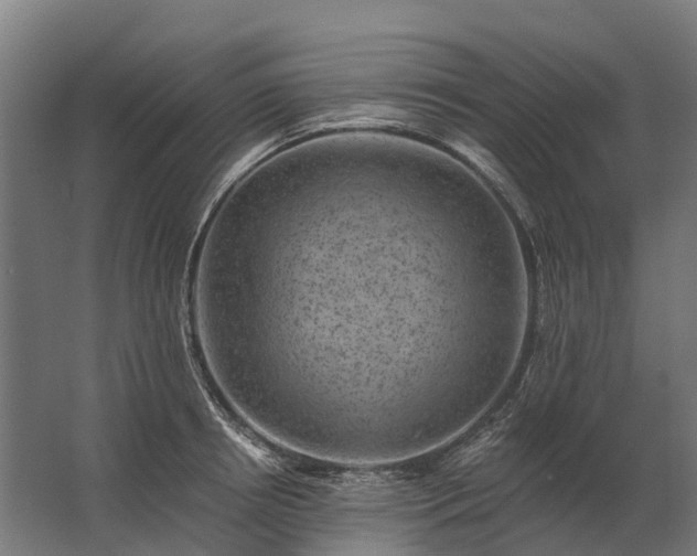 X0000062790850200512290221