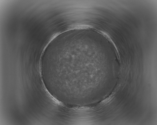 X0000062790851200512290221