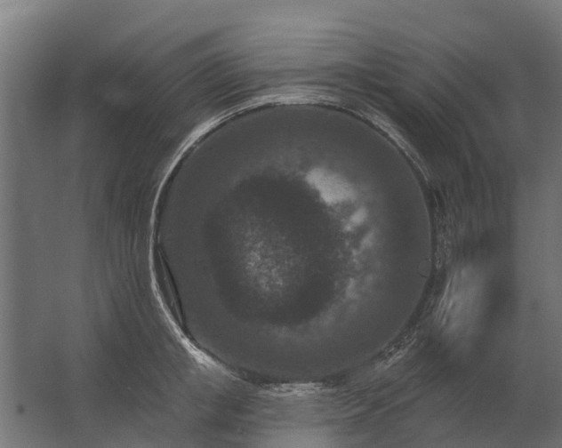 X0000062790853200512290221