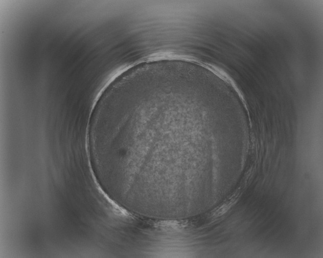 X0000062790855200512290221