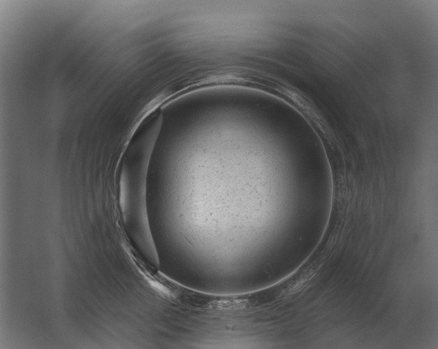 X0000062790858200512290221