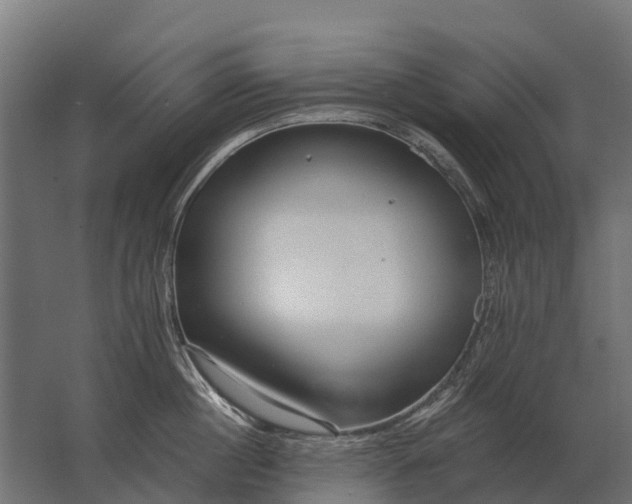 X0000062790860200512290221